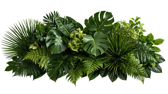 Lush tropical foliage arrangement with monstera and fern leaves