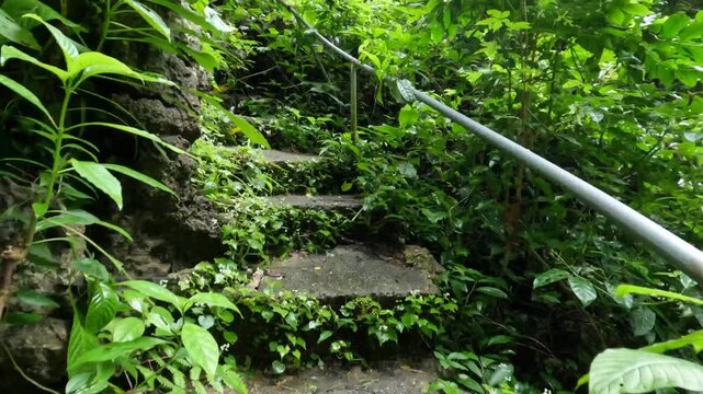 Steep concrete steps with a metal handrail ascend through lush tropical jungle.