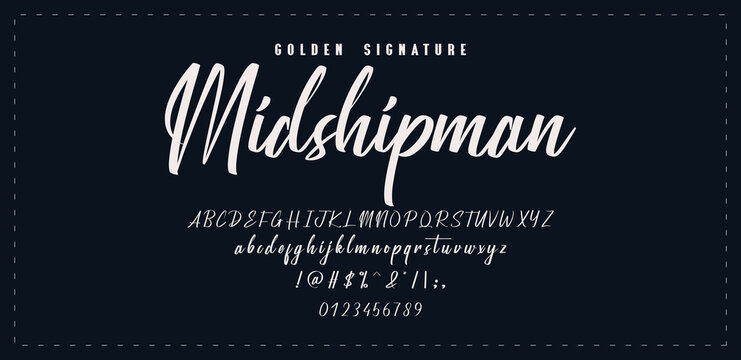 Hand drawn vector alphabet. Modern monoline signature script font. Elegant Signature Font. Best Alphabet Beautiful Calligraphy Signature Font