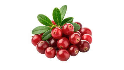 Obraz premium Small pile of fresh raw red cranberries isolated on transparent background