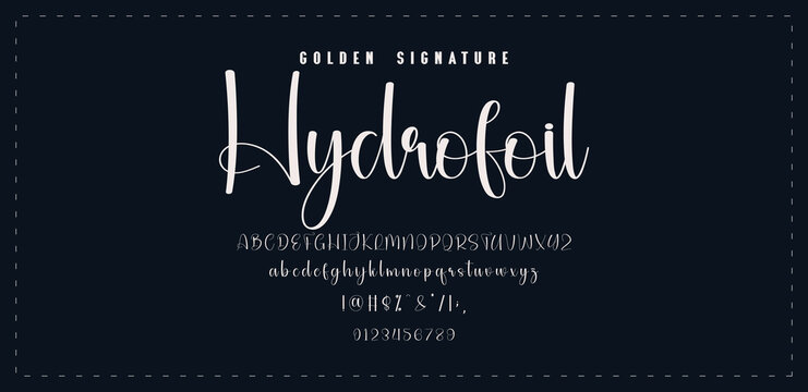 Hand drawn vector alphabet. Modern monoline signature script font. Elegant Signature Font. Best Alphabet Beautiful Calligraphy Signature Font