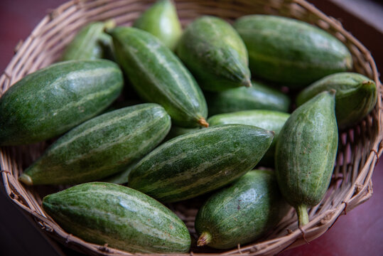 Pointed gourd or potol, an Indian vegetable