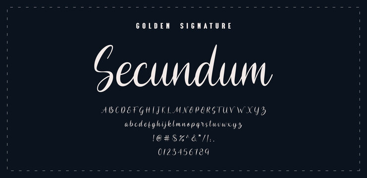 Signature Font Calligraphy Logotype Script Brush Font Type Font lettering handwritten. Minimal modern urban fonts for logo, brand etc. Typography typeface uppercase lowercase and number.