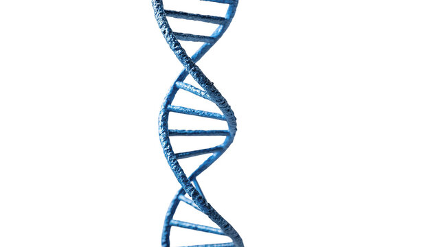 Blue model of human DNA double helix isolated on transparent background