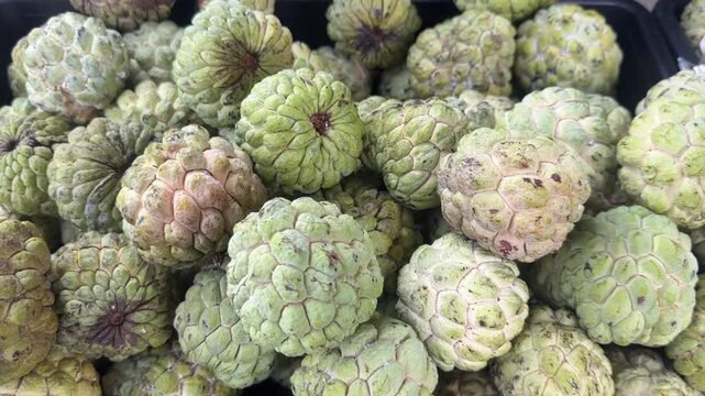 Video of fresh sugar apple fruit piled together with ripe green skin and natural texture