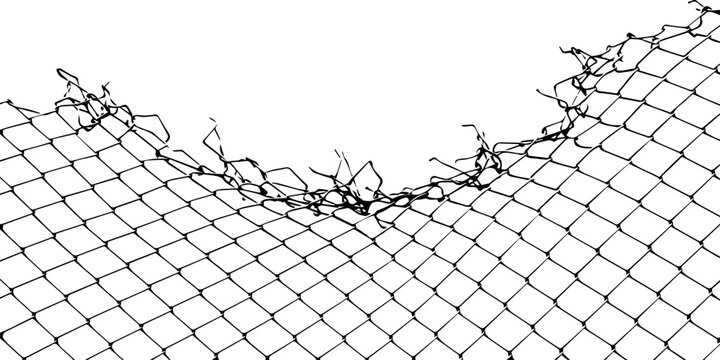 Barbed Wire Fence on White Background, Sharp Steel Security Barrier, Industrial Prison and Protection Concept, Isolated Metal Wire Border Pattern for Stock Design