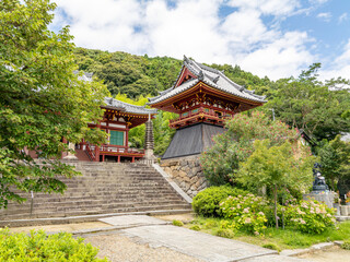 Fototapeta premium 【奈良県】大和郡山市 矢田寺 (撮影日 2025/07/18)