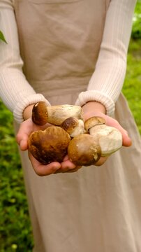 Wild mushrooms in a hand. Selective focus.