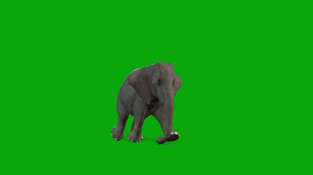 Realistic baby elephant running in a seamless loop on a green screen, with natural 3D movement and a lifelike running cycle from a front-facing camera.