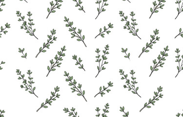 Fototapeta premium Hand drawn thyme branches seamless pattern for herbal packaging.