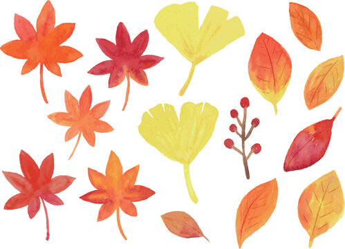 ＜ベクター素材＞　水彩タッチの紅葉・イチョウ・秋の葉っぱセット