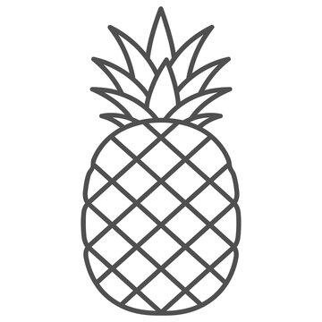 Fresh whole pineapple fruit line art vector illustration