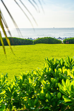 Lush Green Landscape Overlooking Calm Ocean Waters with a Clear Sky and Gentle Breeze Captured in a Tranquil Setting