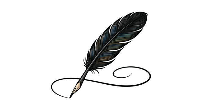 Detailed feather illustration with swirling line on a white background