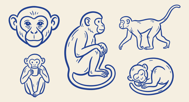Hand drawn blue line vector set of monkeys in various poses on isolated background