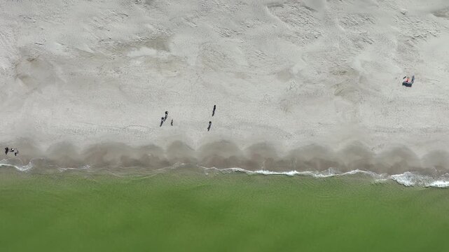 A minimalist aerial topdown shot showing people walking along the white sandy shore of Osetnik beach in Poland with green sea waves.