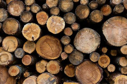 Pile de b&ucirc;ches de bois en gros plan vue en coupe, fond naturel textur&eacute;