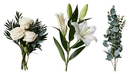 White rose bouquet lily stem with buds, and eucalyptus branch foliage set © Lyra