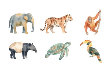 Fototapeta premium Watercolor Southeast Asian Wild Animals Icon Set Isolated on White Background