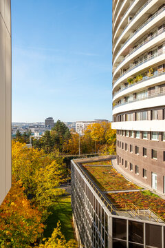Curved modern building rises above autumn foliage in La Defense in Paris France creating a vertical view that combines seasonal trees and architecture