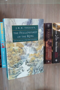 A copy of The Fellowship of the Ring by J.R.R. Tolkien displayed on a wooden bookshelf at home