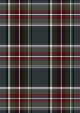 Seamless dark grey, green, red, and white tartan plaid fabric pattern swatch background