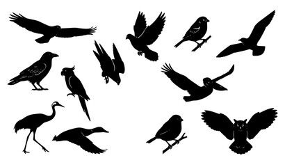 Fototapeta premium Hmm Wild Bird Black Silhouette Icon Set with Flying Perched and Natural Poses