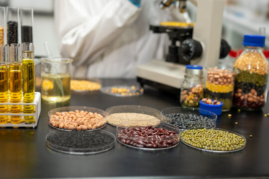 Food science laboratory with legumes, grains, oil samples and a researcher using a microscope for quality testing