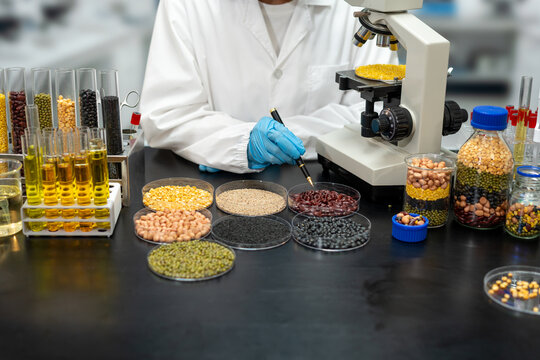 Food scientist in a lab coat examines colorful grains, beans and seeds on a laboratory table beside a microscope and test tubes.