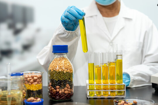 Scientist in a white lab coat and gloves examines yellow liquid in test tubes beside jars of mixed beans, showing food quality research and nutrition testing.