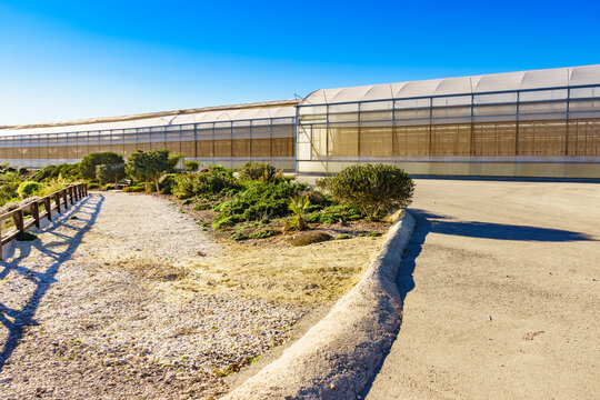 Industrial greenhouse complex for farming and commercial agriculture in Spain