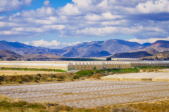 Landscape with greenhouses for growing plants and commercial agriculture in Spain