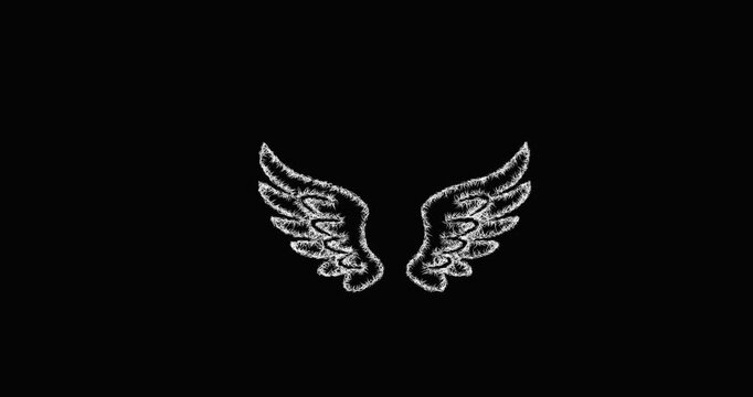 Sketch angel wings icon animation - smooth progressive reveal