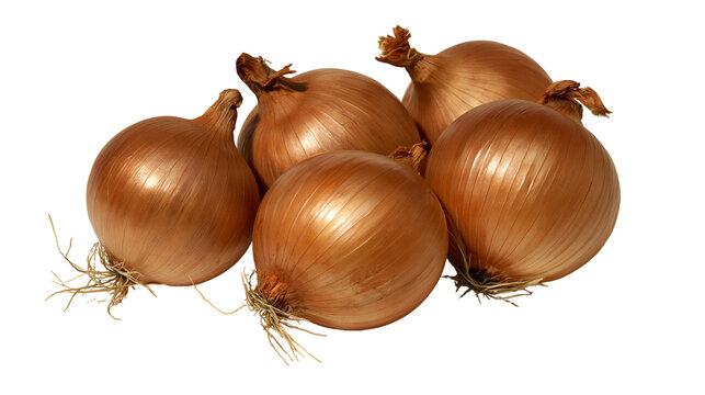 Fresh whole brown onions with dry papery skins and roots