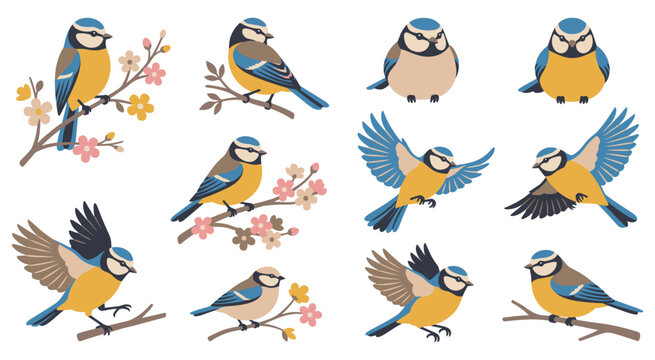 Small blue tits birds various poses branches blossoms collection.