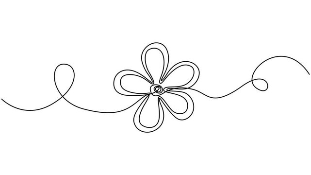 Animation of a single line drawing of a flower. Continuous contour movement of a flower. Continuous video with one line, Flower drawing mono line. Continuous line icon on white background. template