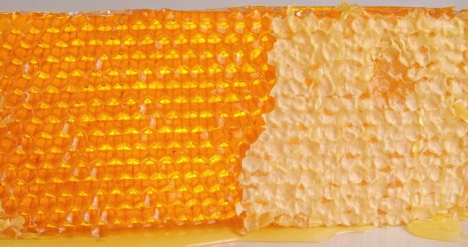 Piece of honeycomb close-up video on rotating table.