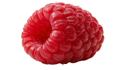 Single ripe red raspberry fruit with textured surface © Motruc