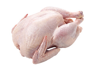 Raw whole chicken isolated on transparent background © Photo Find