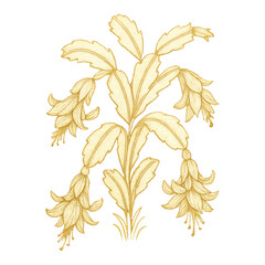 Obraz premium PNG Elegant botanical illustration with flowers.