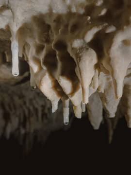 Close-up View of Natural Stalactite Formations with Dripping Water Inside a Dark Cave