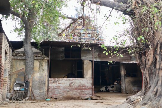 インド　ハリドワール　農家の軒先