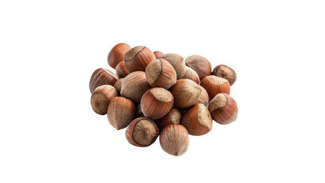 Heap of raw organic unshelled hazelnuts isolated on transparent background