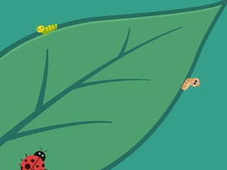 Cute cartoon insects on a large green leaf background vector illustration © dwinurseto