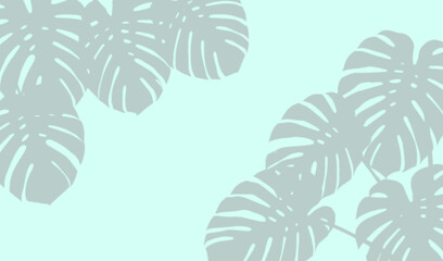 Monstera leaf shadow pattern on a light blue background © Imran
