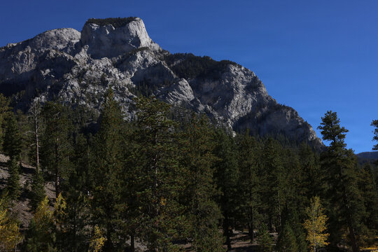 Fall Colors in Lee Canyon Spring Mountains National Recreation Area