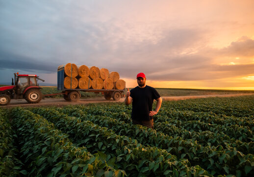 Farmer Giving Thumbs Up in Soybean Field at Sunset with Tractor and Hay Bales