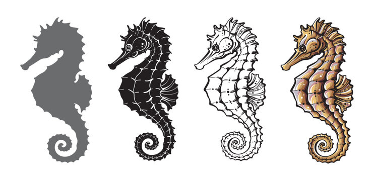 Stylized seahorses vector set in different styles. Silhouette, line art contour and colorful graphic elements isolated on white background.