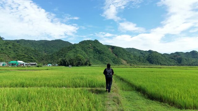 A person walking on a narrow path through a lush green rice field with mountains in the background under a blue sky with white clouds