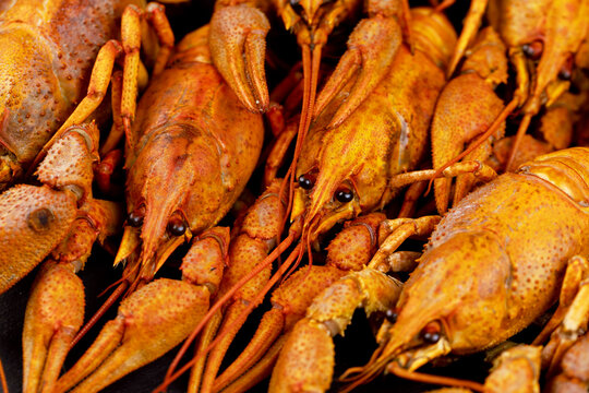 Red boiled crayfish on a dark table background, fresh water